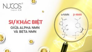 SỰ KHÁC BIỆT GIỮA ALPHA NMN VÀ BETA NMN