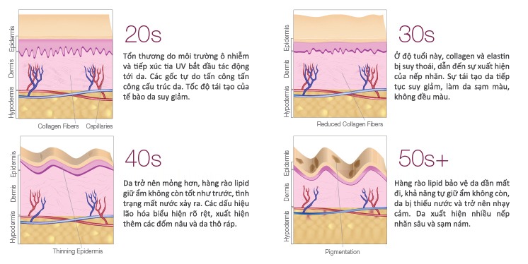 Bao nhiêu tuổi nên uống collagen để ngăn ngừa lão hóa? 