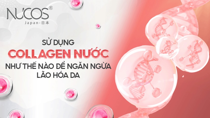 Sử dụng Collagen nước như thế nào để ngăn ngừa lão hóa da