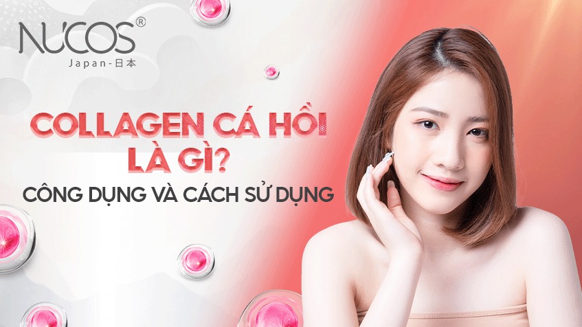 Collagen cá hồi là gì? Công dụng và cách sử dụng