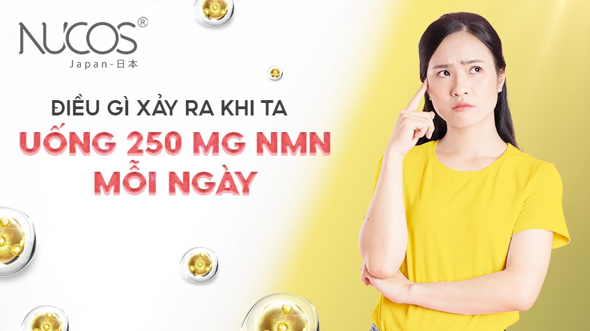 ĐIỀU GÌ XẢY RA KHI TA UỐNG 250MG NMN MỖI NGÀY