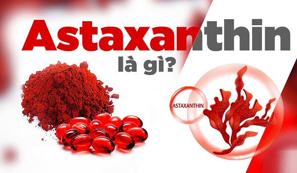 Astaxanthin là gì? Khái niệm, nguồn gốc, và 14 lợi ích 