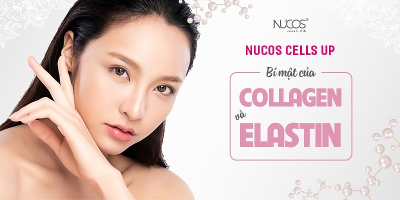 Bí mật của “Collagen và Elastin” 