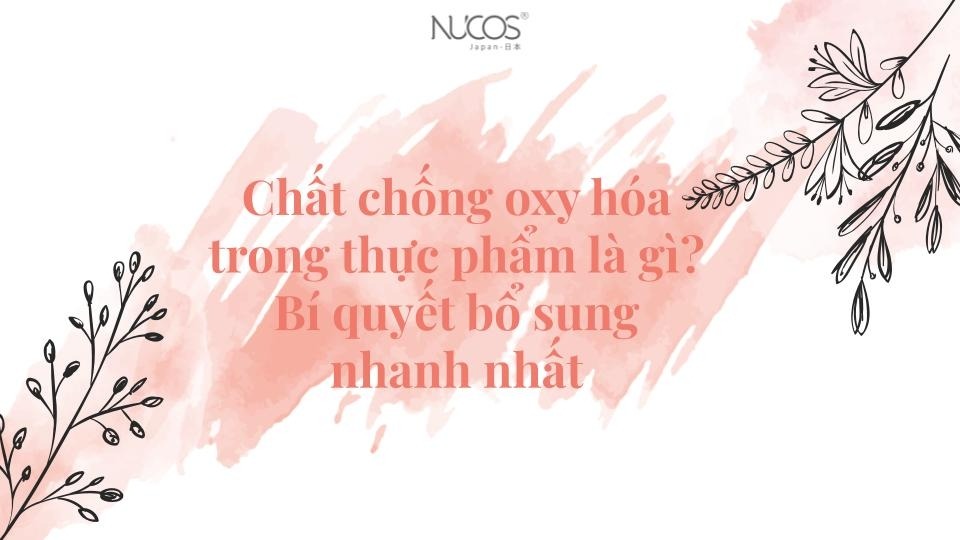 Chất chống oxy hóa trong thực phẩm gồm có bao nhiêu loại?