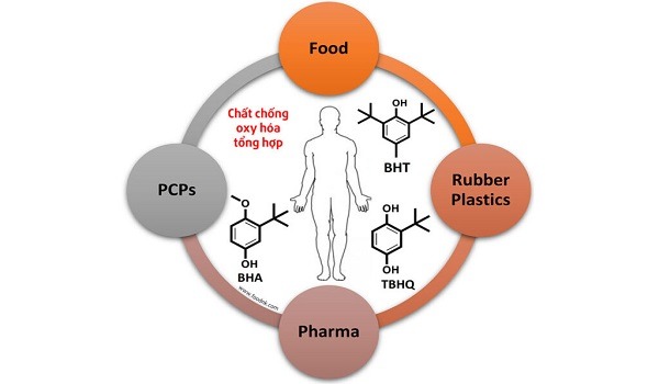 Chất chống oxy hóa trong thực phẩm gồm có bao nhiêu loại? 