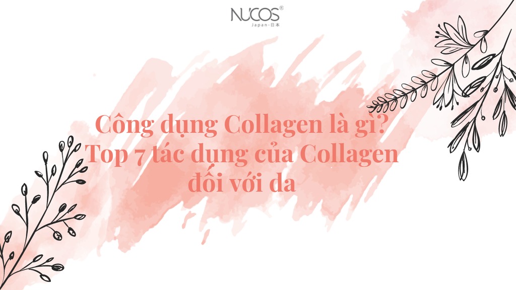 Công dụng collagen là gì? Bất ngờ tác dụng đối với da phụ nữ