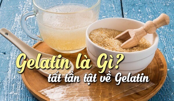 Gelatin là gì? Hướng dẫn cách tự tạo Gelatin đơn giản 