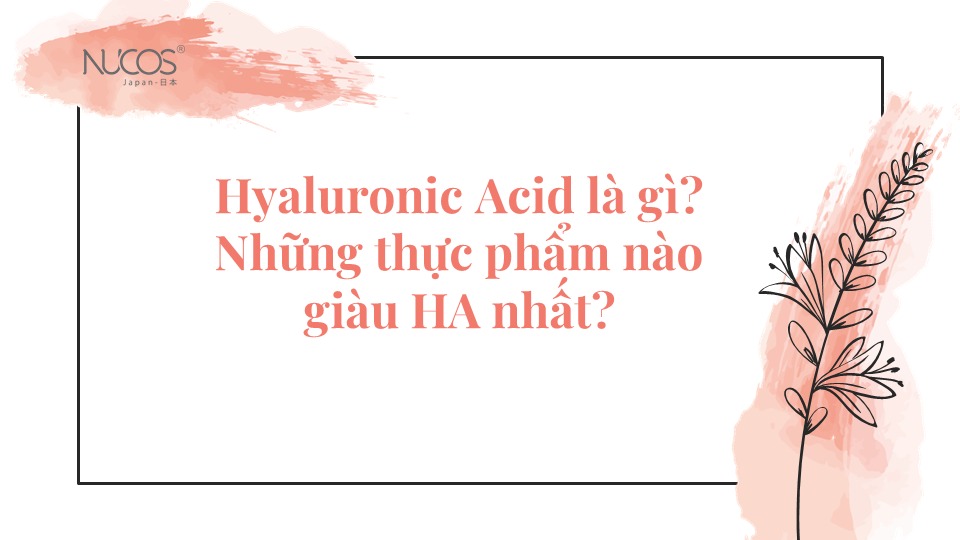 Hyaluronic Acid là gì? Tác dụng, cách dùng Hyaluronic Acid