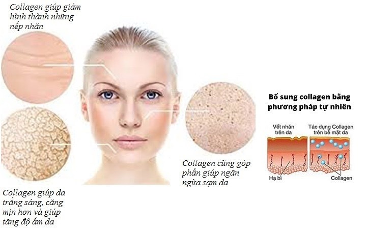 Bao nhiêu tuổi nên uống collagen để ngăn ngừa lão hóa? 