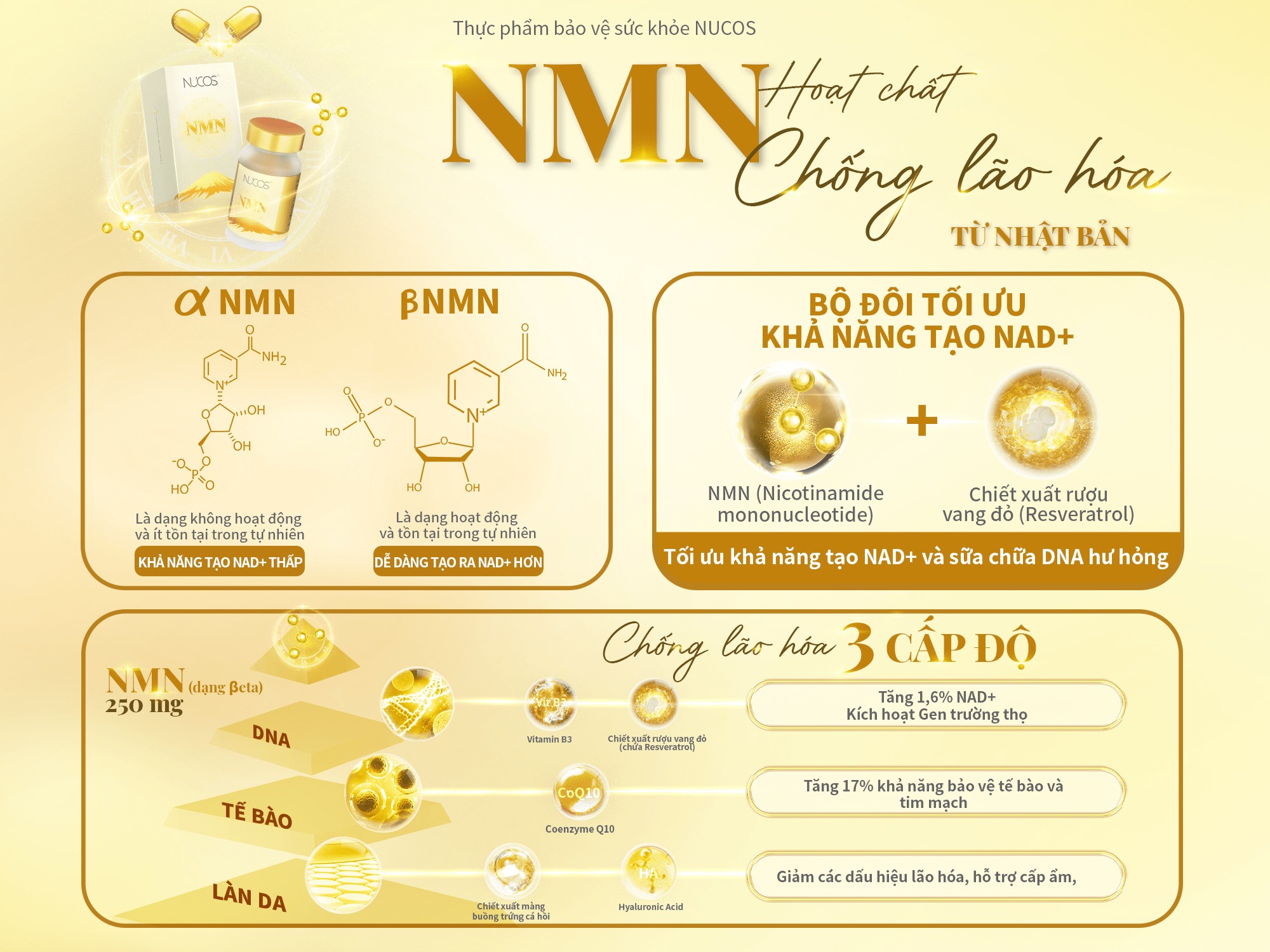 HÀM LƯỢNG NMN BAO NHIÊU LÀ CẦN THIẾT CHO MỖI ĐỘ TUỔI 