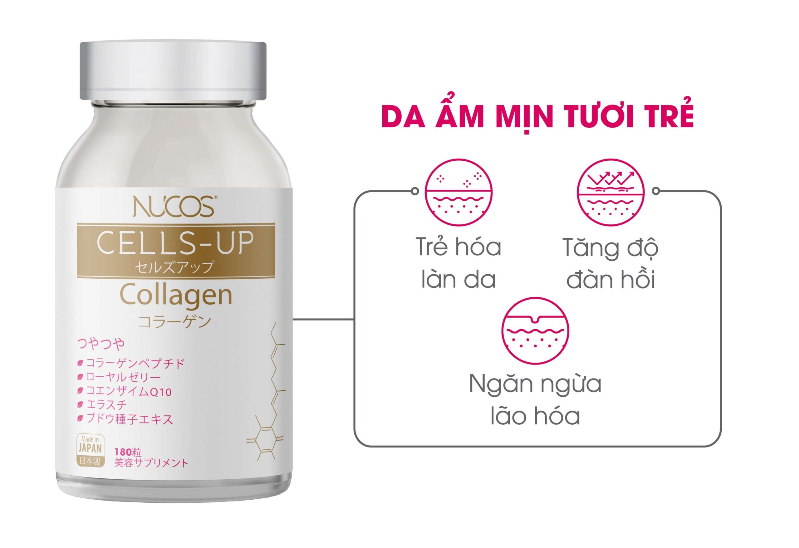 Cách sử dụng thực phẩm chức năng Collagen của Nhật 