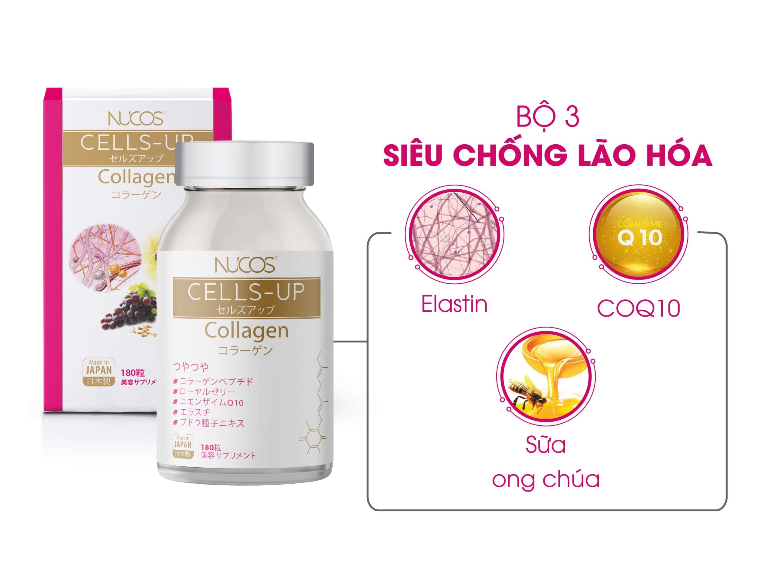 Các tiêu chí giúp bạn chọn được Collagen của Nhật tốt nhất 