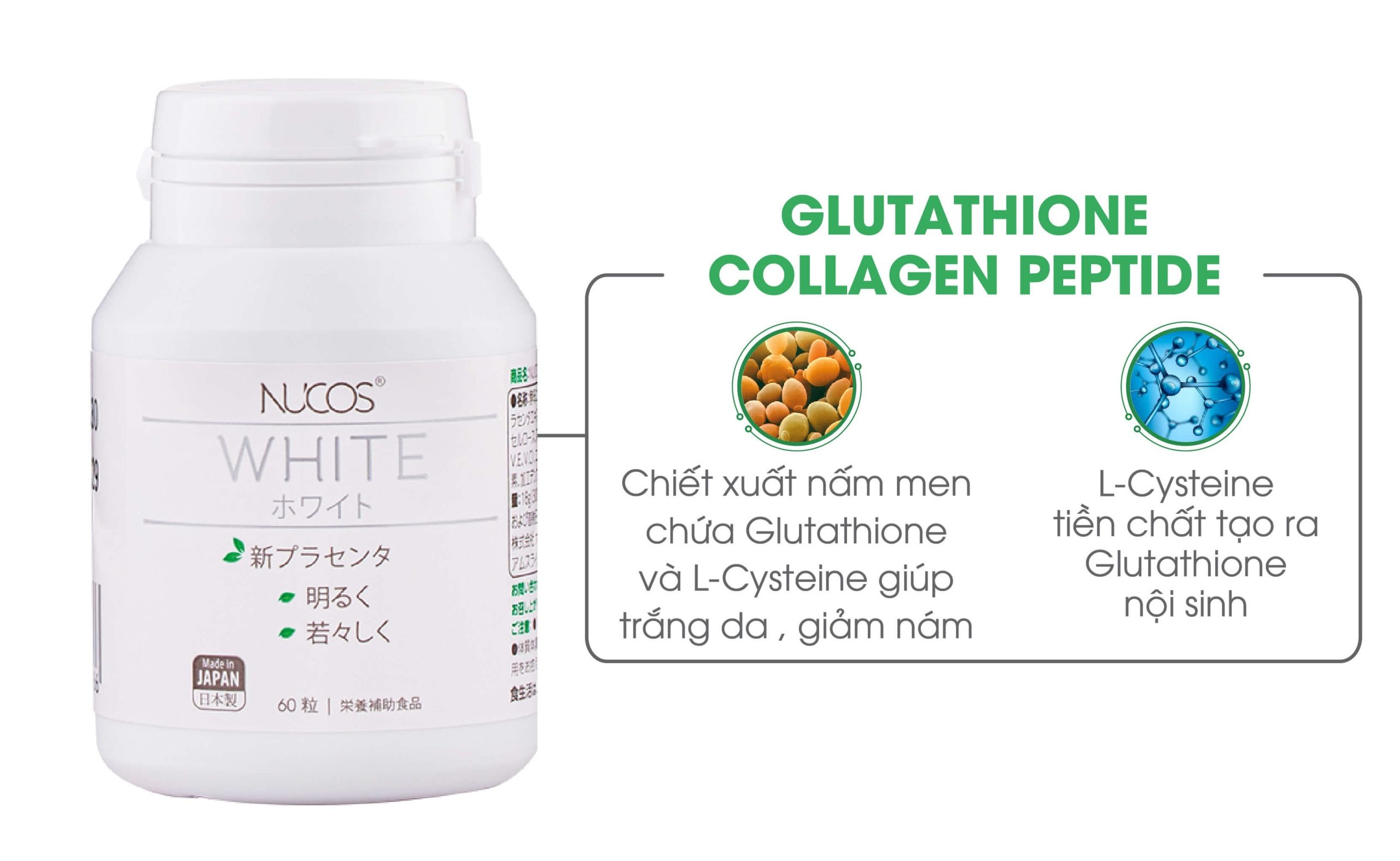 Trả lời câu hỏi: Glutathione là gì? 