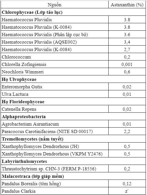 Astaxanthin là gì? Khái niệm, nguồn gốc, và 14 lợi ích 