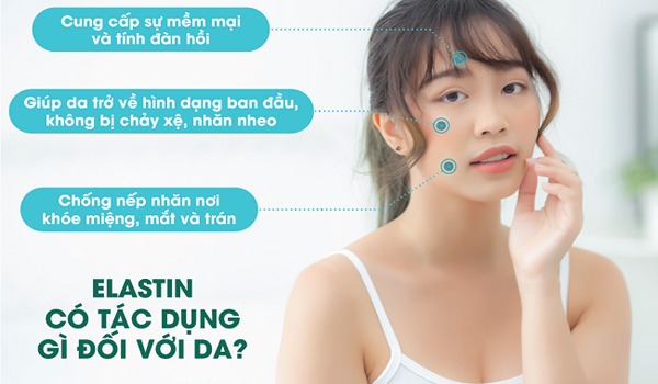 Elastin là gì? 11 cách bổ sung Elastin tốt nhất - Nucos 