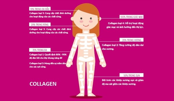 Sử dụng Collagen nước như thế nào để ngăn ngừa lão hóa da 