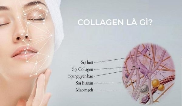 Top 18 loại thực phẩm giàu Collagen tốt cho da rau xanh, tỏi 