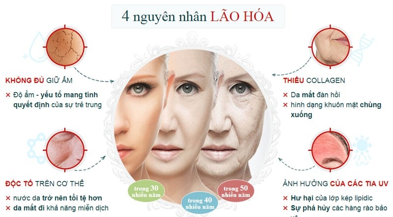 Bao nhiêu tuổi nên uống collagen để ngăn ngừa lão hóa? 