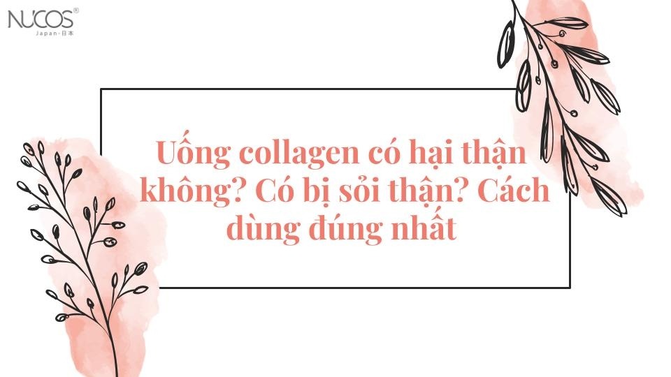 Uống collagen có hại thận không? Có bị sỏi thận hay không?