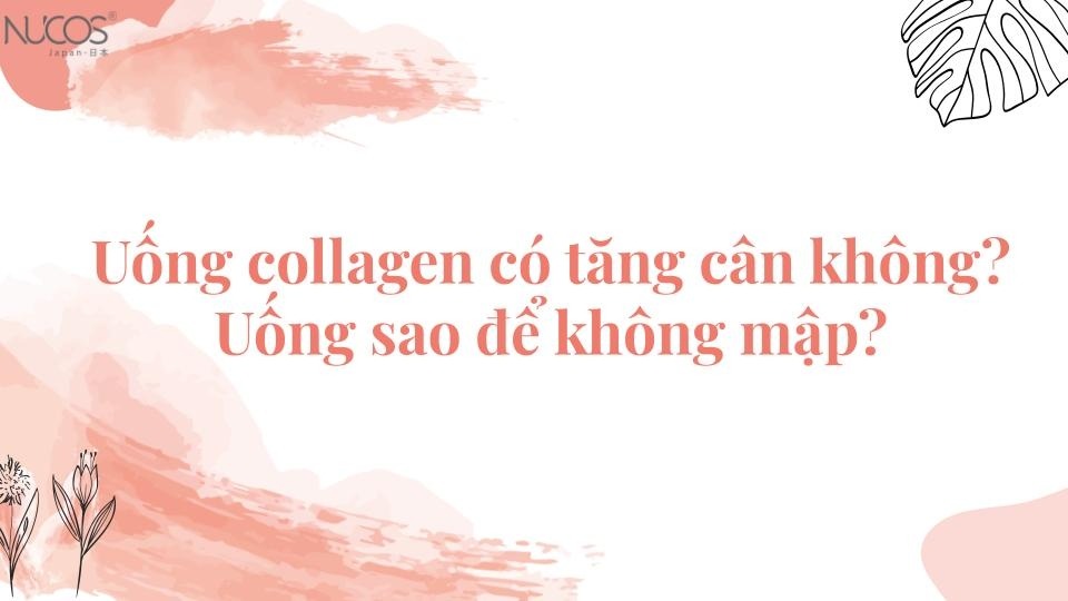 Uống collagen có tăng cân không? Uống sao để không mập?