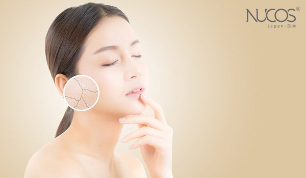 Có nên uống Vitamin E và Collagen cùng lúc hay không? 